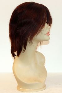 available for rent: sexy short wig in human hair