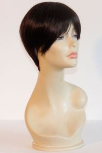 available for rent: very short loutoff wig very dark brown with bangs, young and sexy look