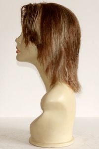 available for rent: zebra chestnut brown ash blonde wig in human hair